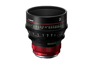 Canon CN-R 50mm T1.3 L F Prime Lens (Canon RF)